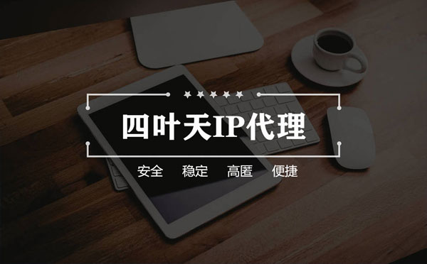 【宜都代理IP】如何快速搭建代理IP？怎么检查代理的效果？